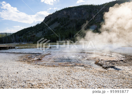 View of smoke emitting from hotspring amidst geothermal landscape. Erupted geyser in forest at Yellowstone national park. Famous tourist attraction with sky in background during summer. 95993877