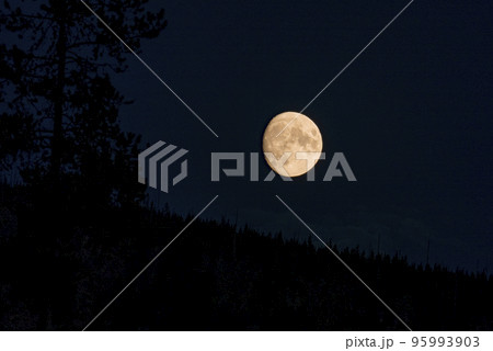 View of beautiful moon shining over silhouette landscape. Picturesque scenery at famous Yellowstone National park in night. Concept of idyllic nature and astronomy. 95993903
