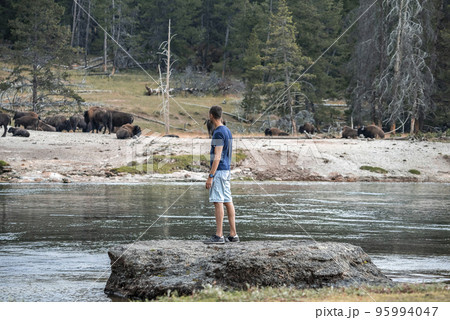 Tourist looking at bison while standing on rock at lakeshore. Male traveler is exploring forest during summer vacation. He is spending leisure time at famous Yellowstone National park. Tourist looking at bison while standing on rock at lakeshore. Male traveler is exploring forest during summer vacation. He is spending leisure time at famous Yellowstone National park. 95994047