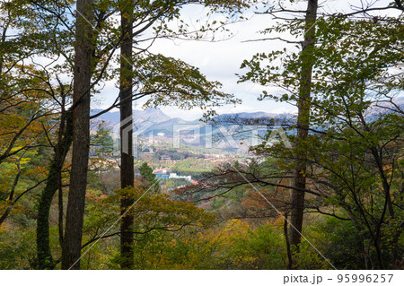 湯坂路から見た景色（遠景に金時山） 95996257