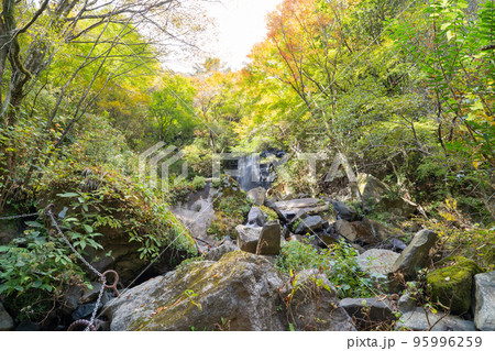飛龍の滝（箱根） 95996259