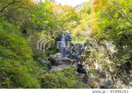 飛龍の滝(箱根) 飛龍の滝(箱根) 95996261