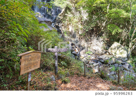 飛龍の滝（箱根） 95996263