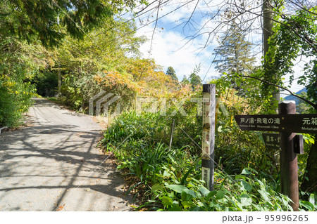 飛龍の滝自然探勝路の登山口（畑宿バス停付近） 95996265