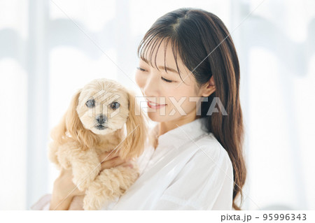 犬のいる暮らし 犬のいる暮らし 95996343