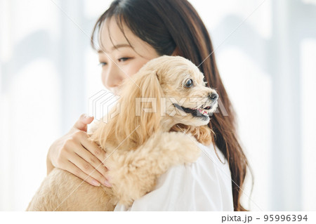 犬のいる暮らし 95996394