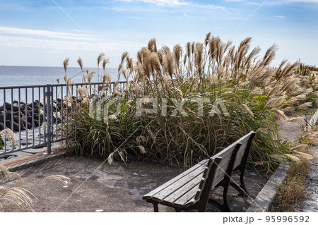 茨城県日立市　本宮ロードパーク 95996592