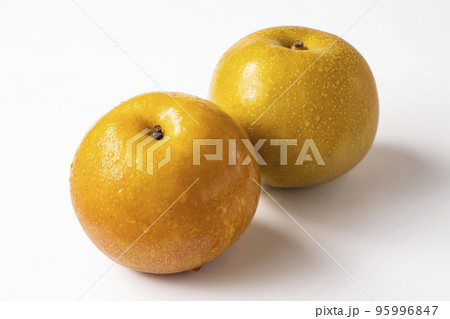 なし なし 95996847