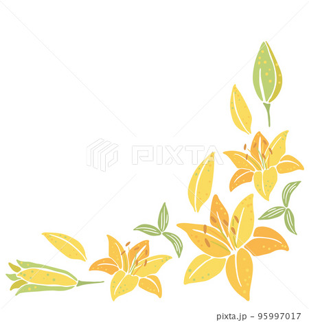 Background with lily flowers. Beautiful decorative plants. 95997017