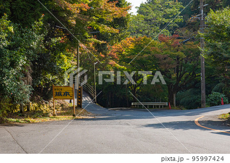 秋を感じる公園の風景 秋を感じる公園の風景 95997424