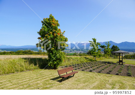 千望峠駐車公園から見る風景 95997852