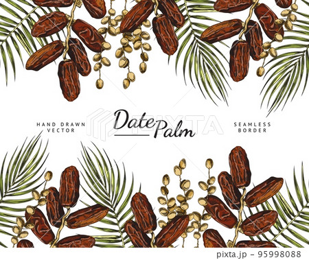 Seamless border with concept of date palm tree, hand drawn sketch vector illustration. 95998088