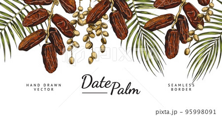 Date palm seamless border, hand drawn sketch vector illustration on white background. 95998091