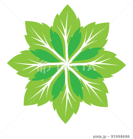 Leaf green ornament design and symbol vector template 95998686