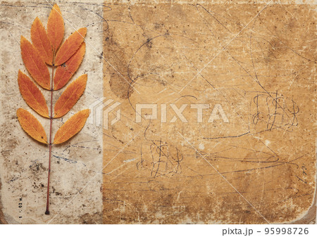 Brown designed grunge background with leaves. Vintage abstract texture Brown designed grunge background with leaves. Vintage abstract texture 95998726