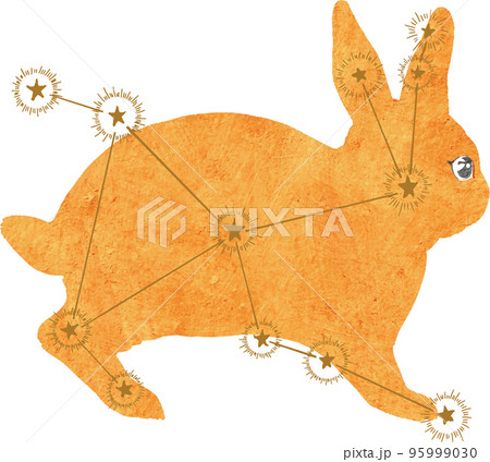 うさぎ座のイラスト素材 95999030