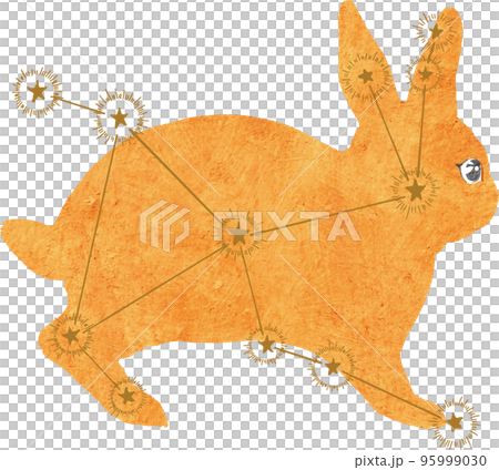 うさぎ座のイラスト素材 95999030