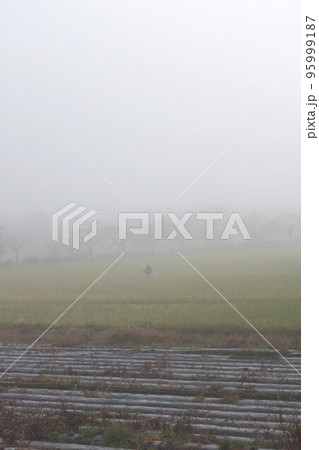 朝霧の中の人影　11月　晩秋 95999187