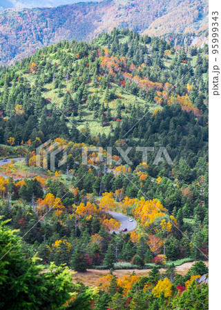《長野県》志賀高原　横手山からの紅葉風景　志賀草津高原ルート 95999343