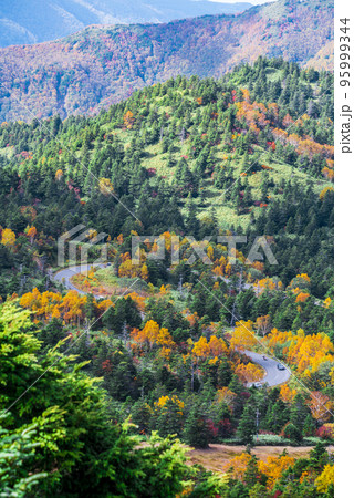 《長野県》志賀高原 横手山からの紅葉風景 志賀草津高原ルート 《長野県》志賀高原 横手山からの紅葉風景 志賀草津高原ルート 95999344