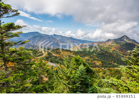 《長野県》志賀高原 横手山からの紅葉風景 《長野県》志賀高原 横手山からの紅葉風景 95999351