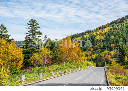 《長野県》志賀高原 横手山からの紅葉風景 志賀草津高原ルート 《長野県》志賀高原 横手山からの紅葉風景 志賀草津高原ルート 95999361