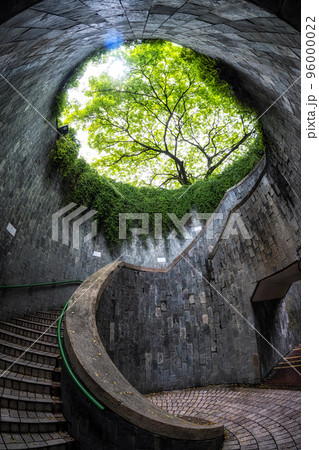 fort canning tree tunnel 96000022