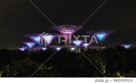 Gardens by the bay supertree light show 96000024