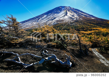 富士山5合目奥庭自然散策路の風景　山梨県鳴沢村 96000202