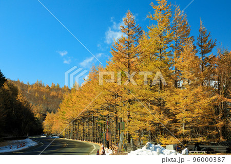 富士スバルラインの紅葉風景　山梨県鳴沢村 96000387