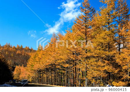 富士スバルラインの紅葉風景 山梨県鳴沢村 富士スバルラインの紅葉風景 山梨県鳴沢村 96000415