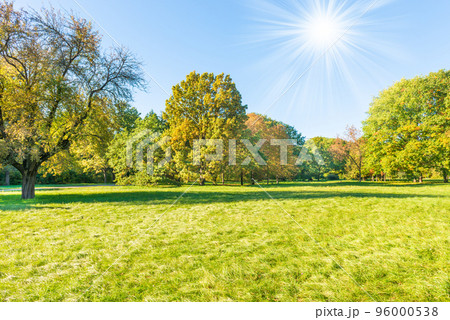 Green field lawn Green field lawn 96000538