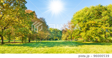 Green field lawn 96000539