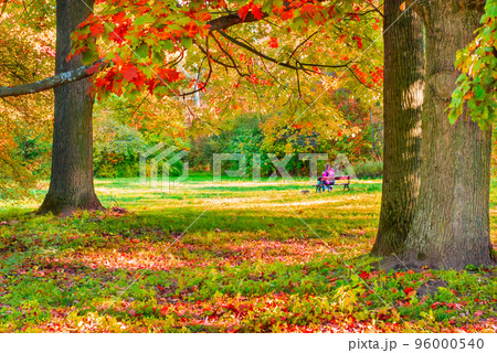 People in autumn park People in autumn park 96000540