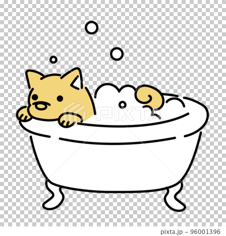 お風呂に入る犬 96001396