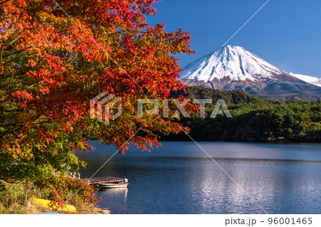 《山梨県》秋の富士山・西湖湖畔の紅葉 96001465