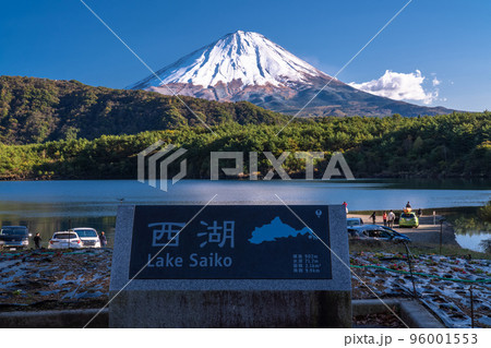 《山梨県》秋の富士山・西湖湖畔 96001553