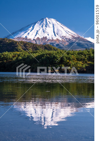 《山梨県》秋の富士山・西湖湖畔 96001559