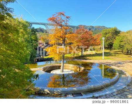 国営明石海峡公園 水の樹 国営明石海峡公園 水の樹 96001861