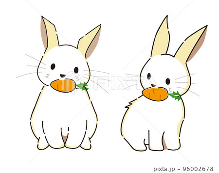 にんじんをくわえて可愛い表情をしているふわふわの可愛いうさぎの