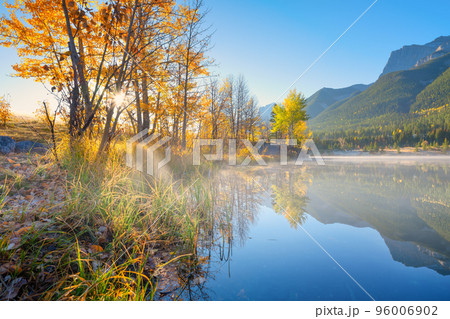 Landscape during sunrise. Autumn trees on the river bank. Sunlight through the trees. Canada Landscape during sunrise. Autumn trees on the river bank. Sunlight through the trees. Canada 96006902