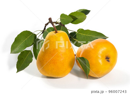Ripe juicy yellow pears are isolated on a white background 96007243