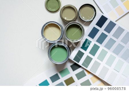 Choosing wall paints 96008578