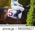 Hands and uniform of a jockey. Race horse in racing competition. Jockey sitting on racing horse. Sport. Champion. Hippodrome. Equestrian. Derby. Horse paddock. Closeup 96009827