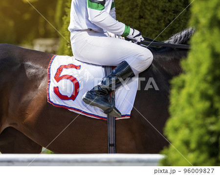 Hands and uniform of a jockey. Race horse in racing competition. Jockey sitting on racing horse. Sport. Champion. Hippodrome. Equestrian. Derby. Horse paddock. Closeup 96009827