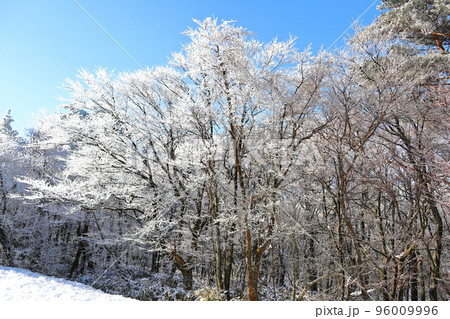 済州島 漢拏山 山 96009996