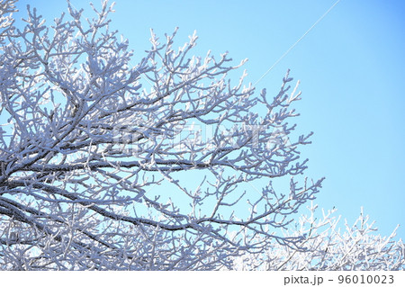 済州島 漢拏山 山 96010023