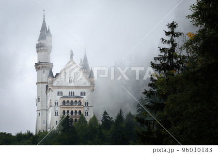 Castle of Neuschwanstein in Fussen, most famous landmark of Bavaria, Germany 96010183