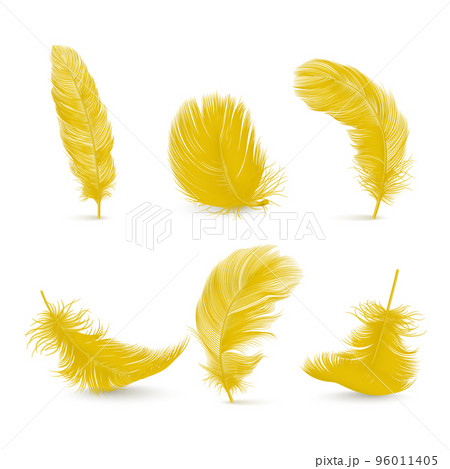 Vector 3d Realistic Yellow Fluffy Feather Set Isolated on White Background. Design Template of Flamingo, Angel, Bird Detailed Feathers. Lightness,Freedom Concept 96011405