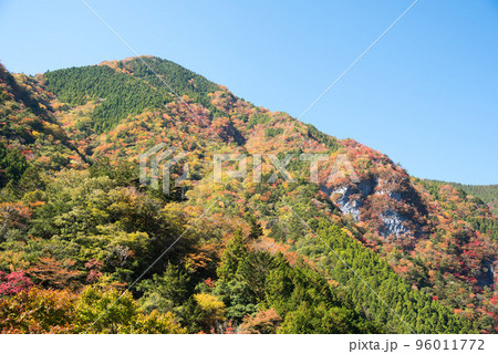 徳島県那賀町 高の瀬峡 紅葉する石立山 徳島県那賀町 高の瀬峡 紅葉する石立山 96011772